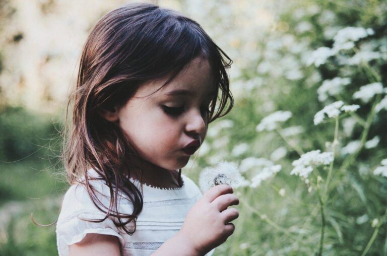 Le retour du pollen !