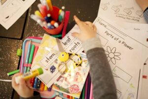 L'anglais en vacances